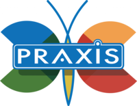 Praxis AI