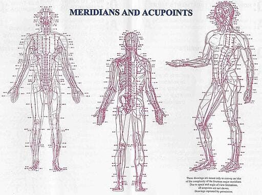 Figure 4: Meridian lines and acupoints of Oriental Medicine.