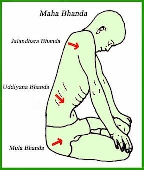 Figure 14: Yogic bandhas, directing the flow of CSF up from the root and towards the head.