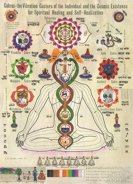 Figure 15: The chakra system and its pathways. The Sushumna is the main central column for prana conduction, while the Ida and Pingala orbit around it as the positive and negative balance.
