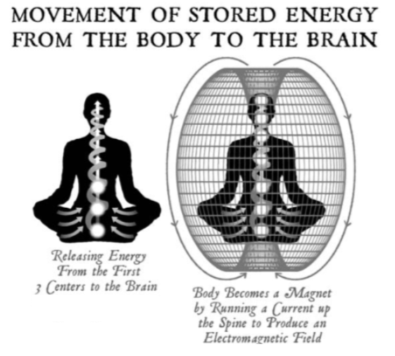 Figure 16: Depiction of the magnetic field created by moving charge-carriers in the spine. The bandhas are intended to provide the force to squeeze prana up from the first three centers (Dispenza, 2018).