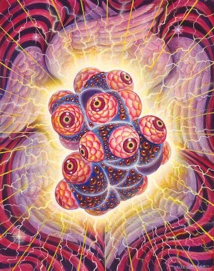 Figure 27: DMT — The Spirit Molecule, by Alex Grey.